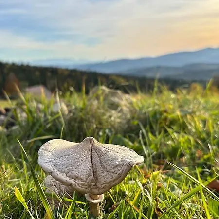 Villa Blizej Nieba Koskowa Gora *
