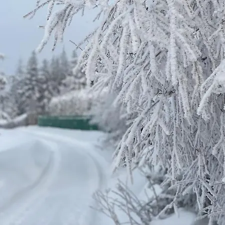 Blizej Nieba Koskowa Gora Villa Bogdanowka