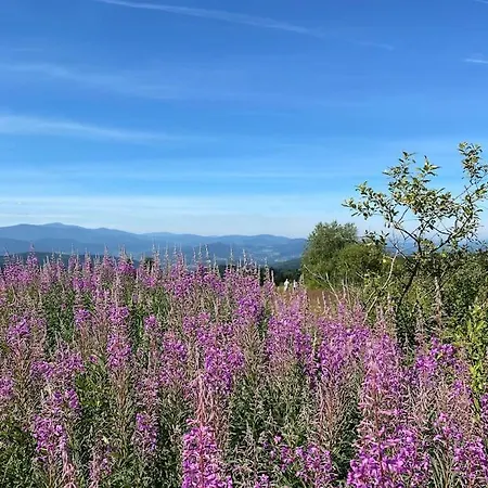 Villa Blizej Nieba Koskowa Gora