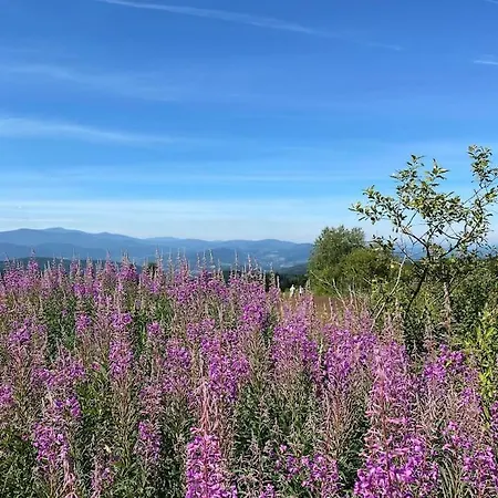 Blizej Nieba Koskowa Gora Villa *