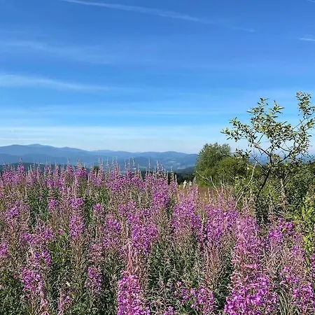 Blizej Nieba Koskowa Gora Villa *