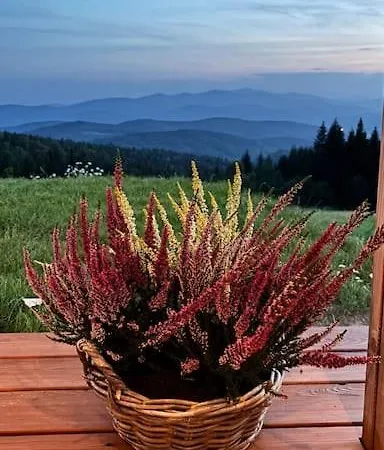 Blizej Nieba Koskowa Gora *