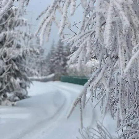 Blizej Nieba Koskowa Gora Villa